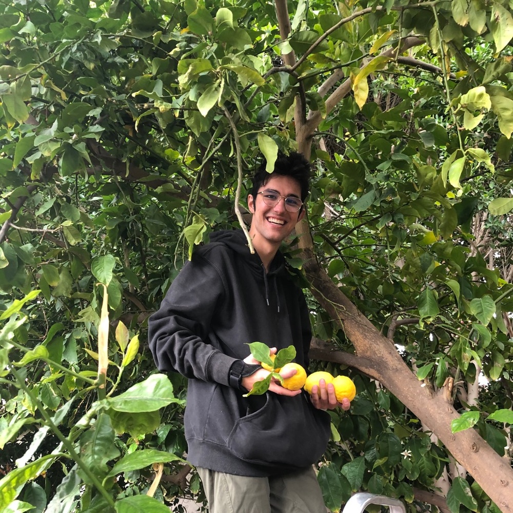 Meet your Posher, William